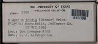 Image Associated With the Occurence